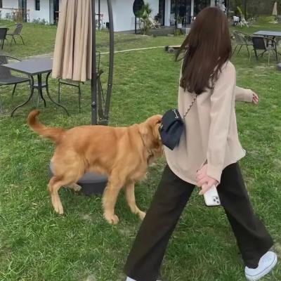 纽约灾星第一季