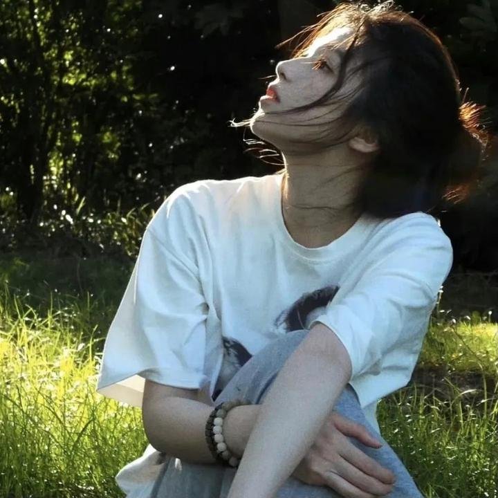 顽皮豹之星